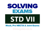 Mbeya Standard Seven Exams 2025