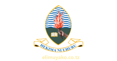 New Vacancies At UDSM