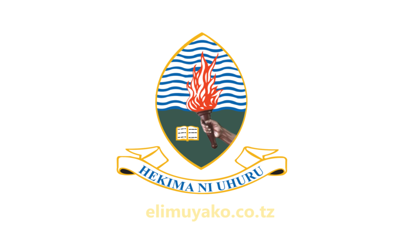 New Vacancies At UDSM