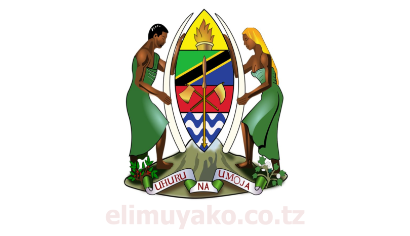 Nafasi za Kazi Ualimu