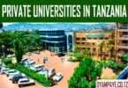 private universities in tanzania