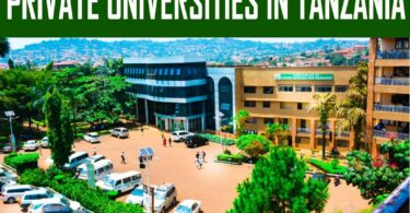 private universities in tanzania