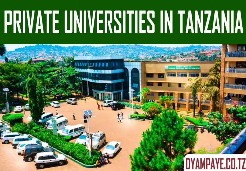 private universities in tanzania