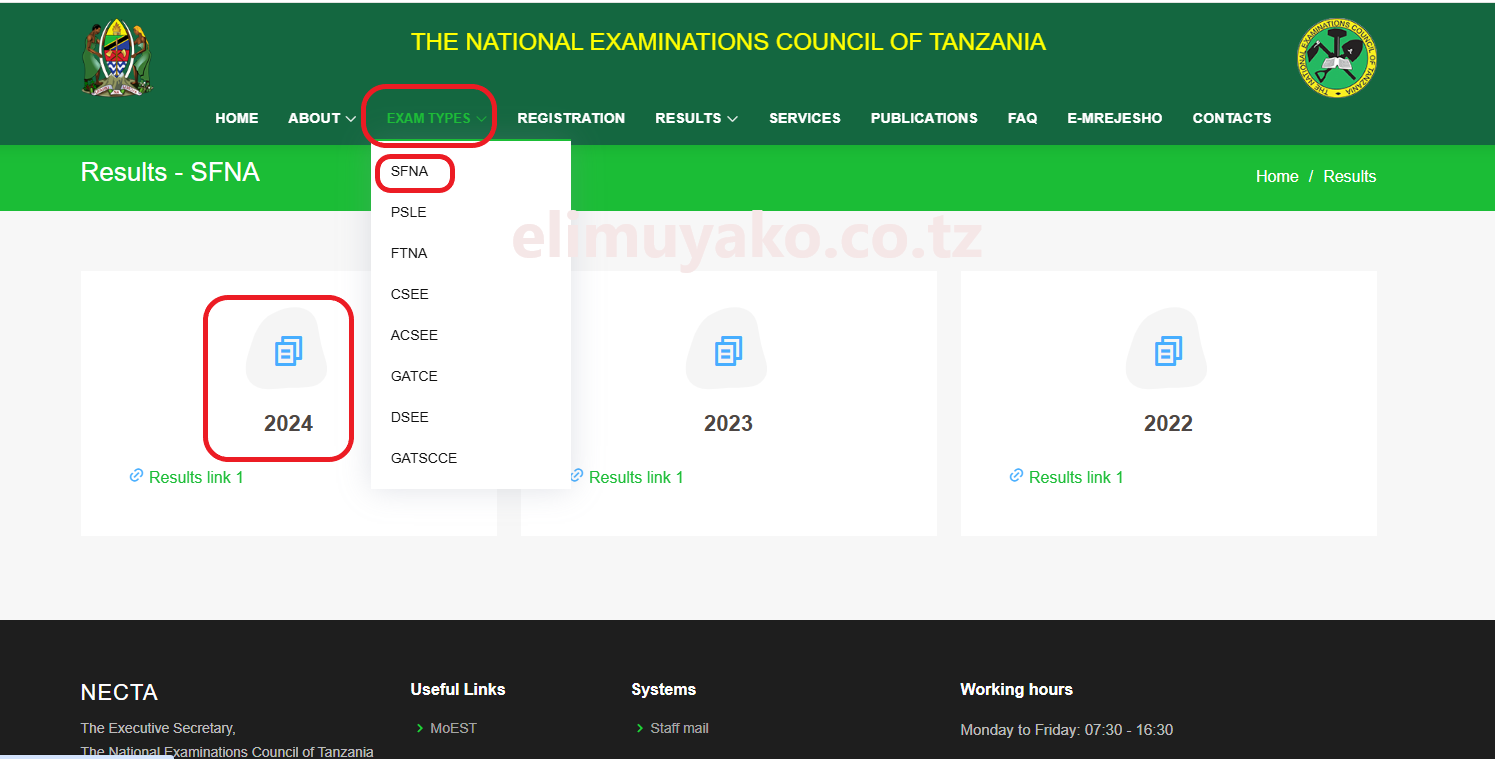 matokeo ya darasa la nne 2024