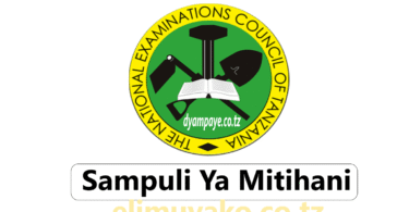 Sampuli ya Mitihani Darasa la Nne 2025