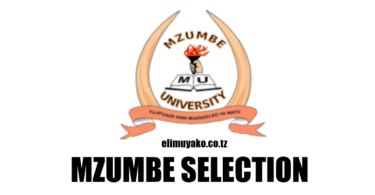 Mzumbe Selected Applicants 2025/2026